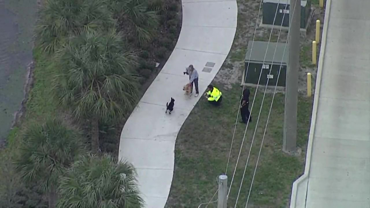 Police try to rescue dog after crash