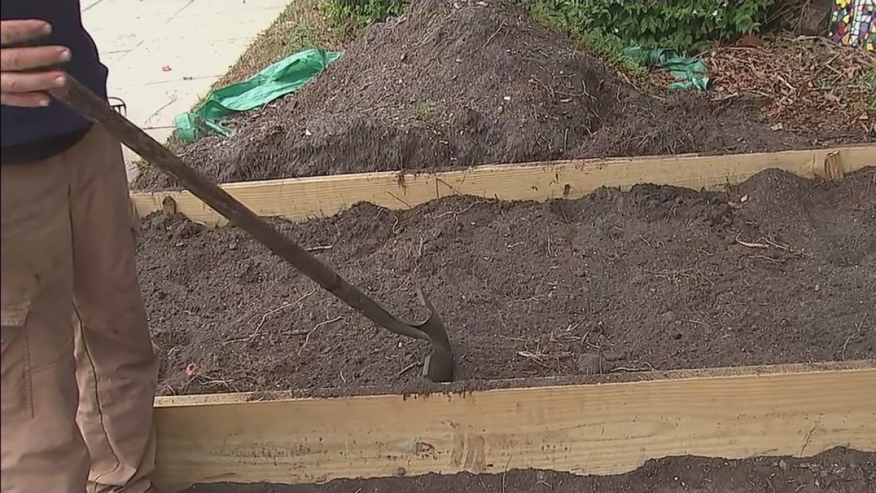 Gardening tip: Replacing, saving dirt in your garden bed