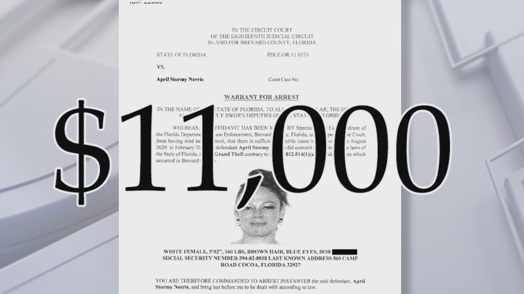 Adoption Fraud: Brevard woman steals thousands of dollars from couple who believed to adopt her baby