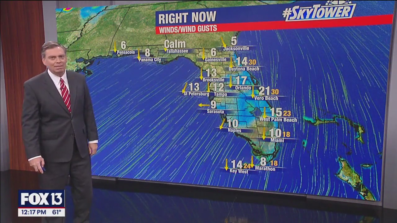 Tampa Weather | Cooler, windy conditions continue