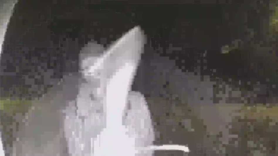 Malibu pickaxe suspect in custody