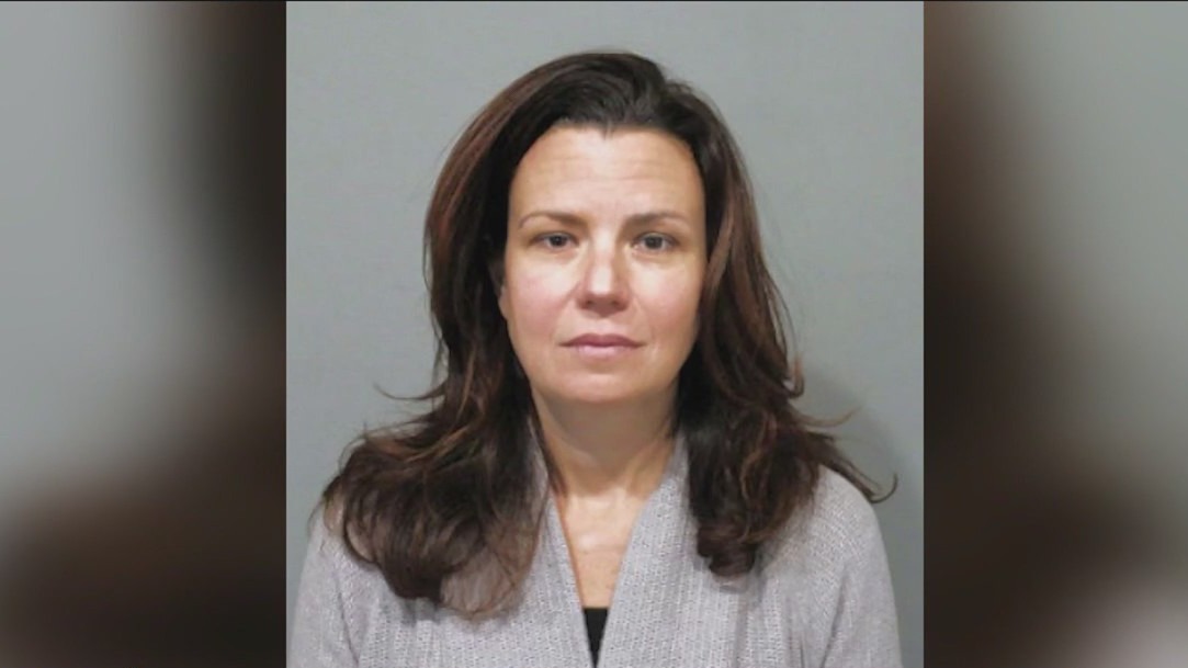 Buffalo Grove woman stole funds while working as schools PTO president: police