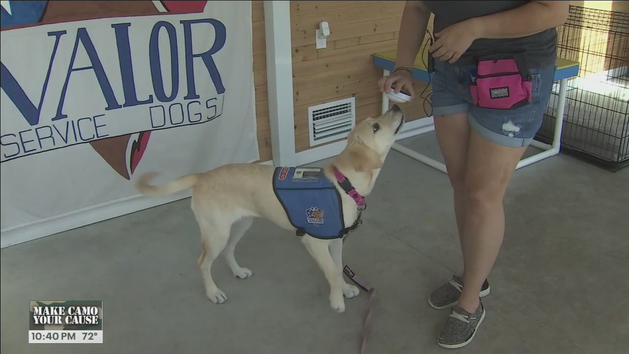 Valor Service Dogs gets boost from pet care business