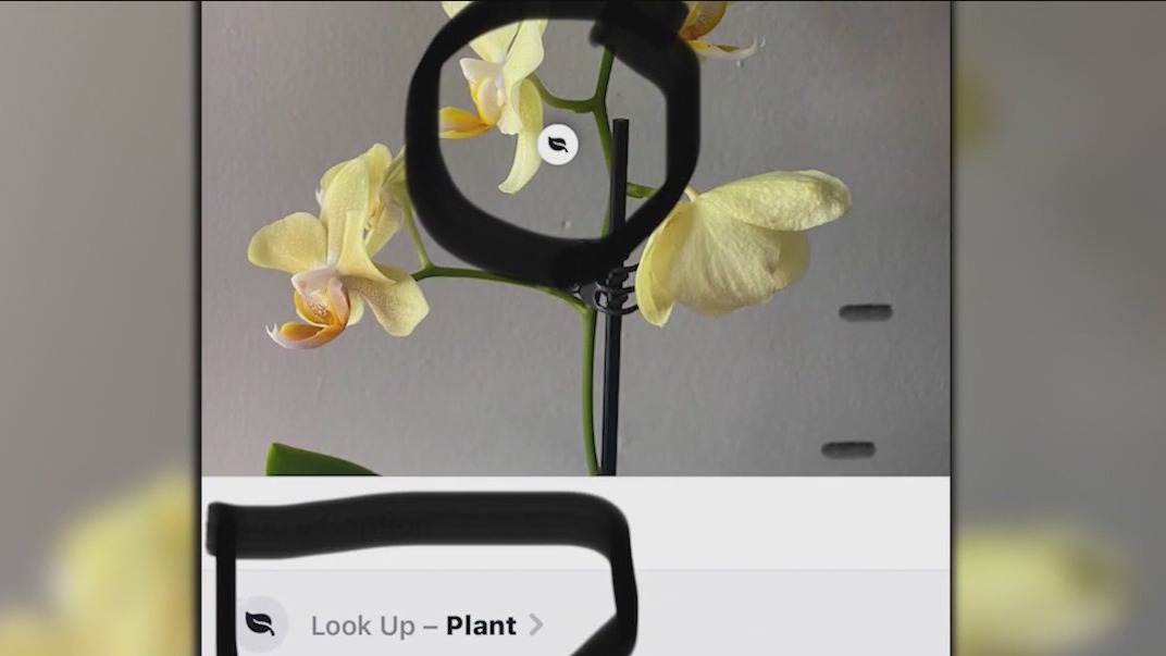 iPhone update will allow you to look up images
