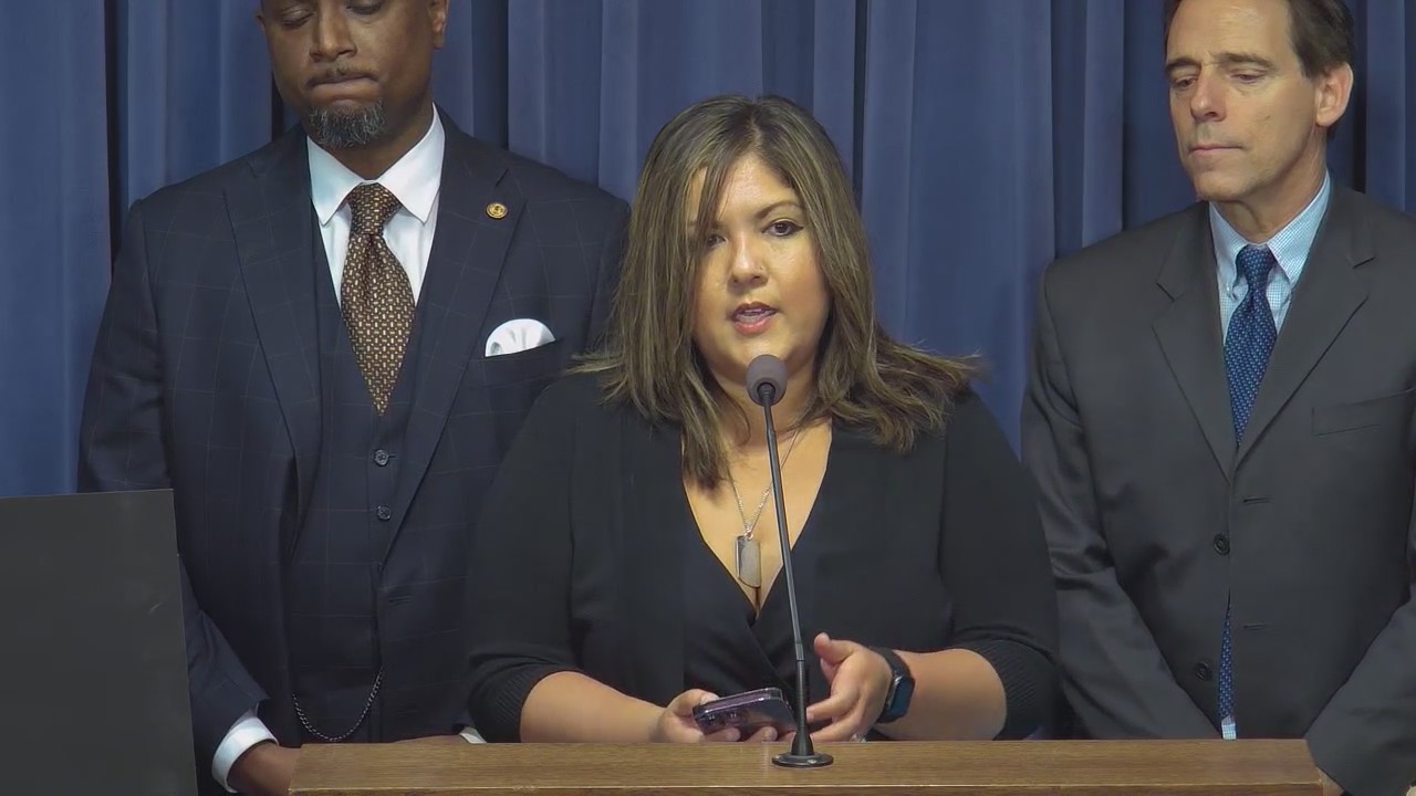 Illinois mom pushes for bill after sons death