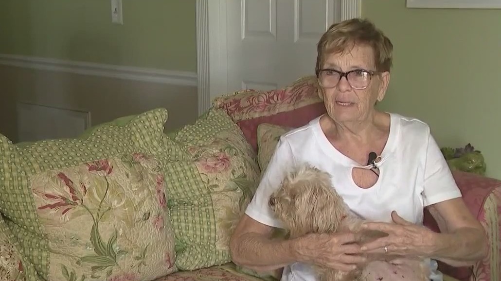 Woman says dogs attacked her and pet dog