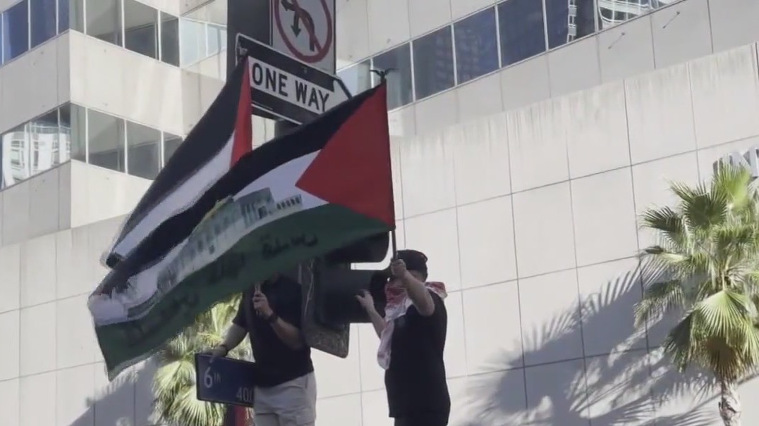 Pro-Palestine demonstrations in downtown LA