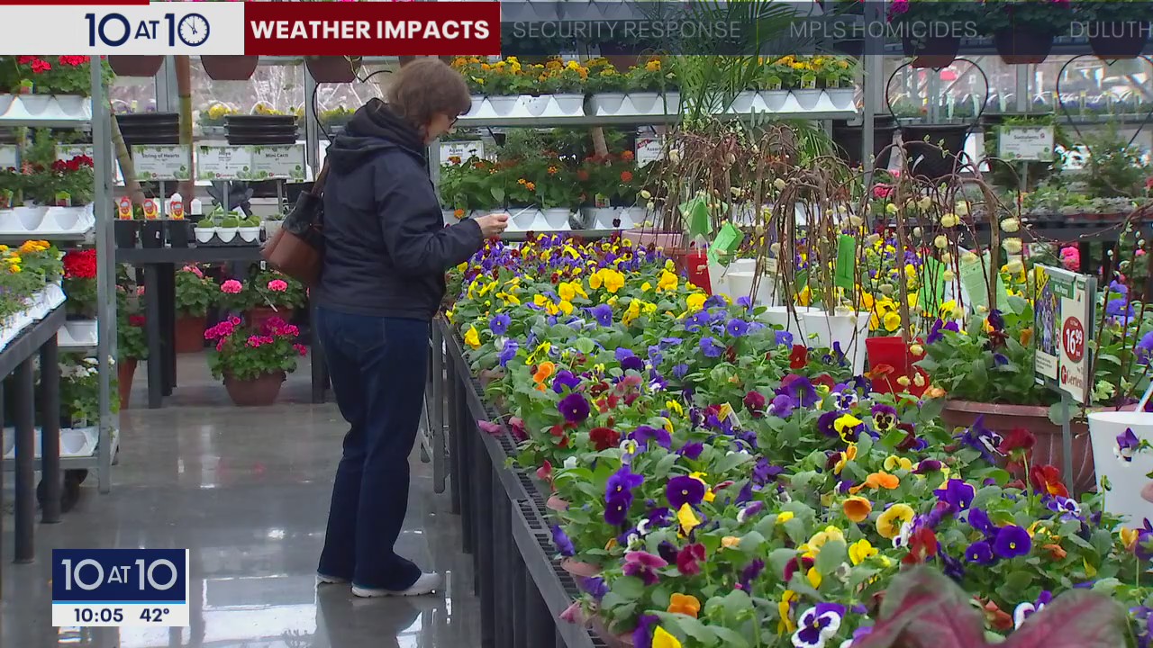 Lingering cold delaying the start to planting season in Minnesota