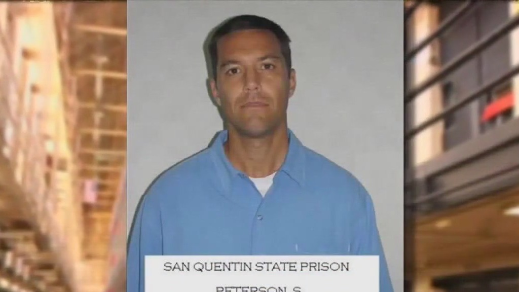 Judge grants status hearing for Scott Peterson