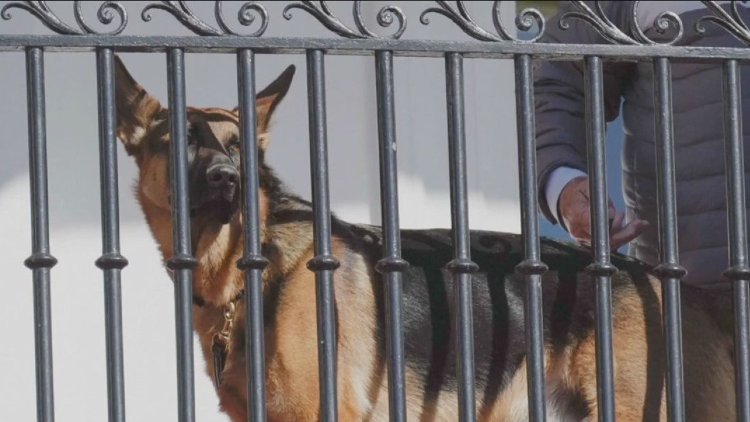 Biden's German Shepard bit officers at White House 10 times