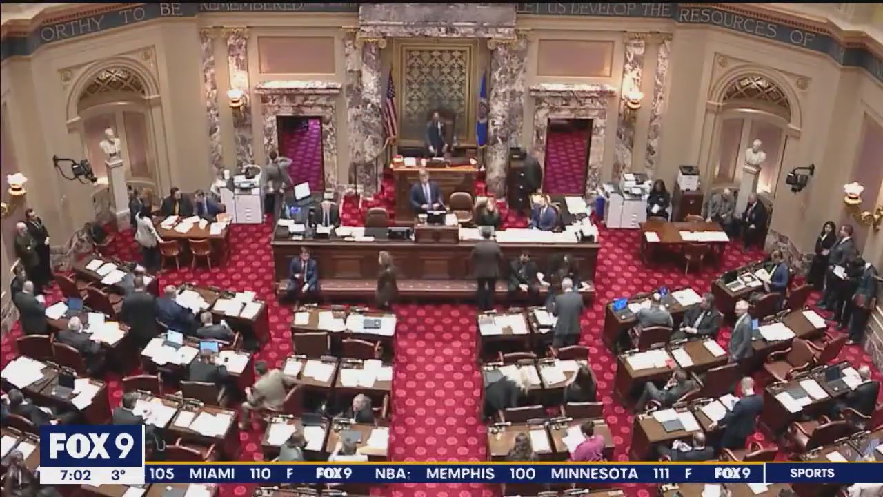 Minnesota Senate votes to guarantee abortion rights