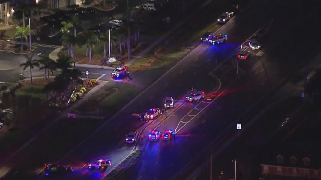 Pedestrian dies after being struck by Pinellas deputy