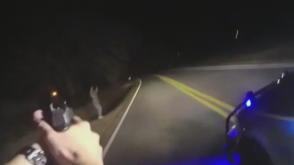 Wanted Coweta County man eludes K-9s, drones on cold night