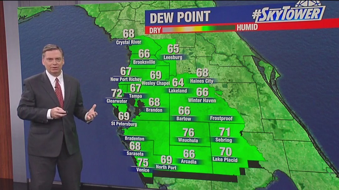 Tampa weather | Breezy afternoon on Feb. 12, 2024