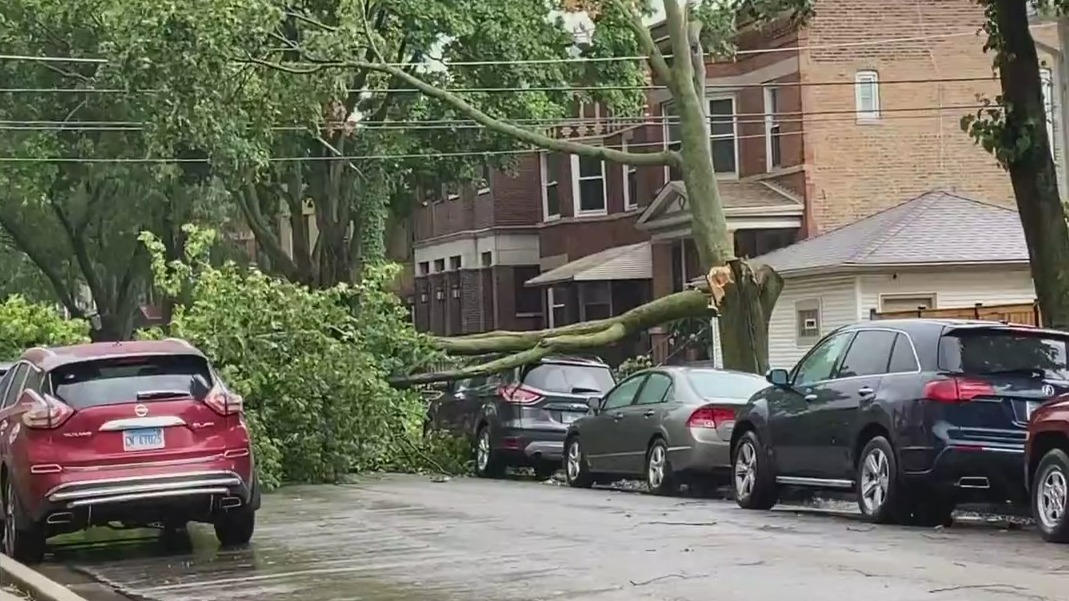 Storms cause damage in Chicago area