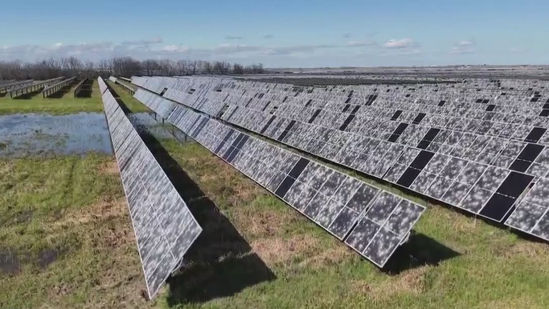 Needville concerned about solar panel contamination