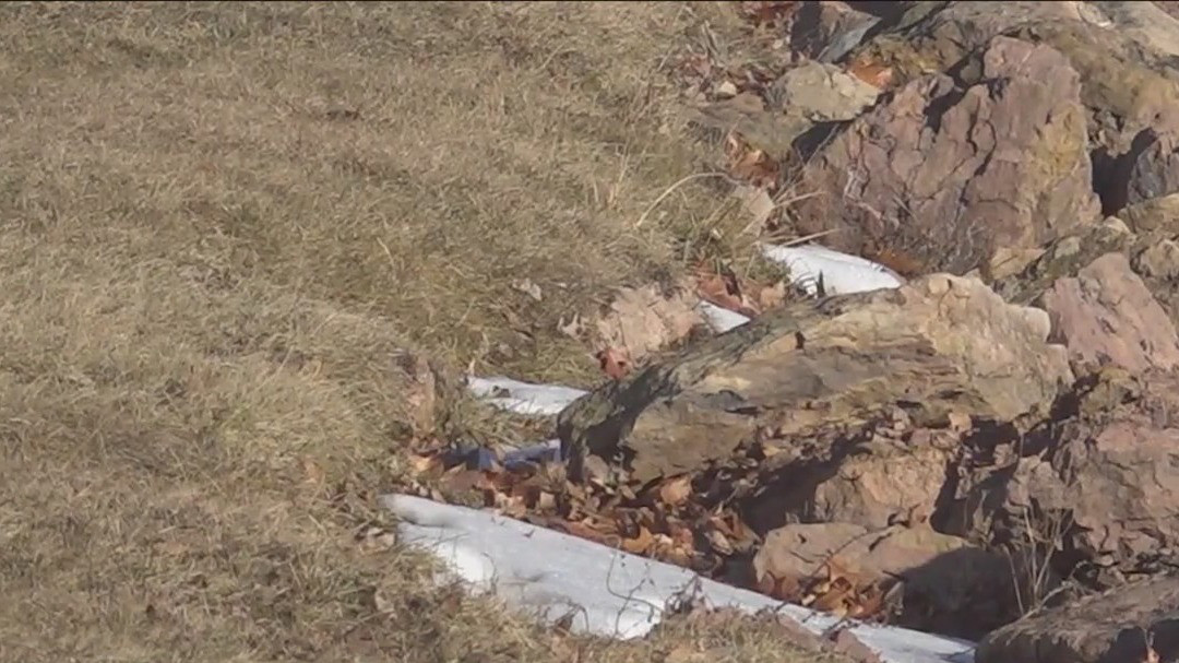 Spring-like weather sweeps across the country