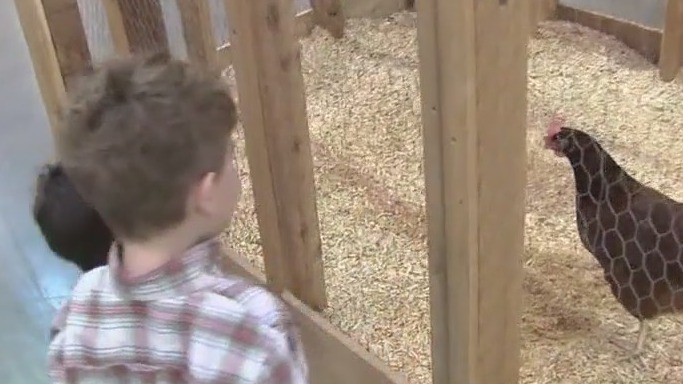 Safe hygiene practices for the petting zoo