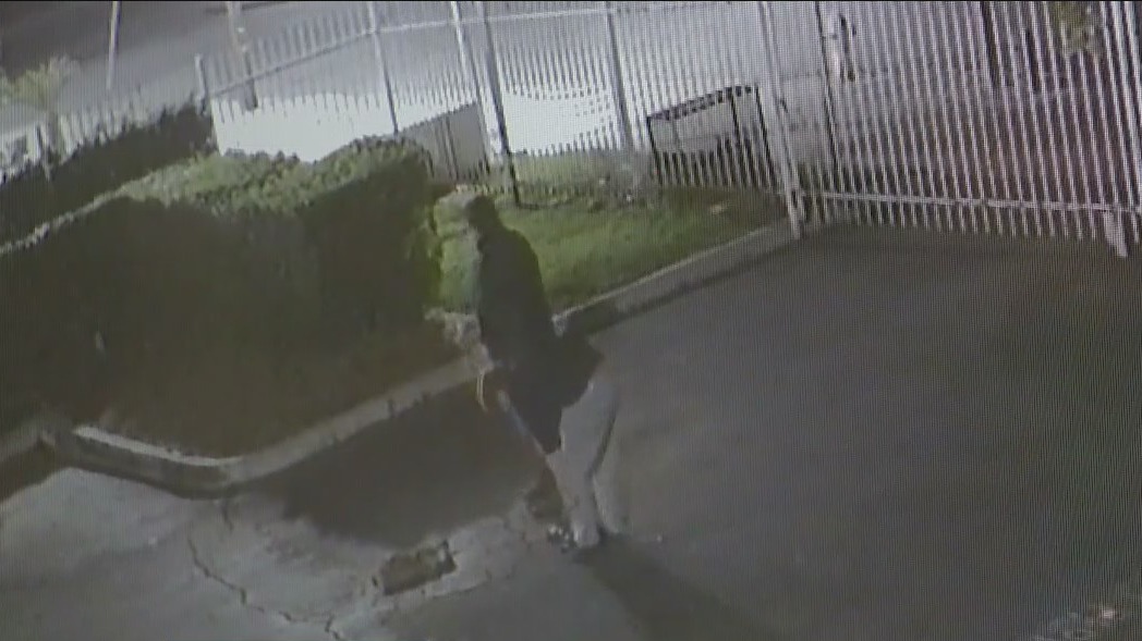 Men caught on video killing stray cat; Pomona PD looking for suspects