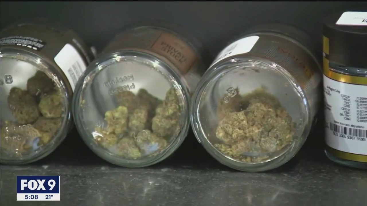 Legal marijuana push starts in Minnesota; supporters say '2023 is the year'