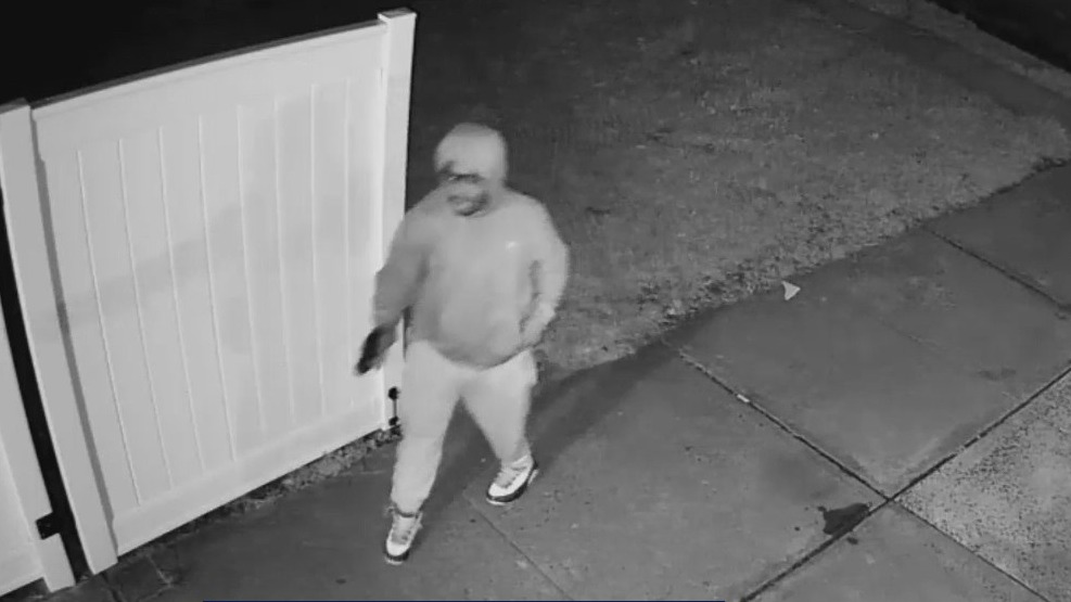 Man fires gun in driveway