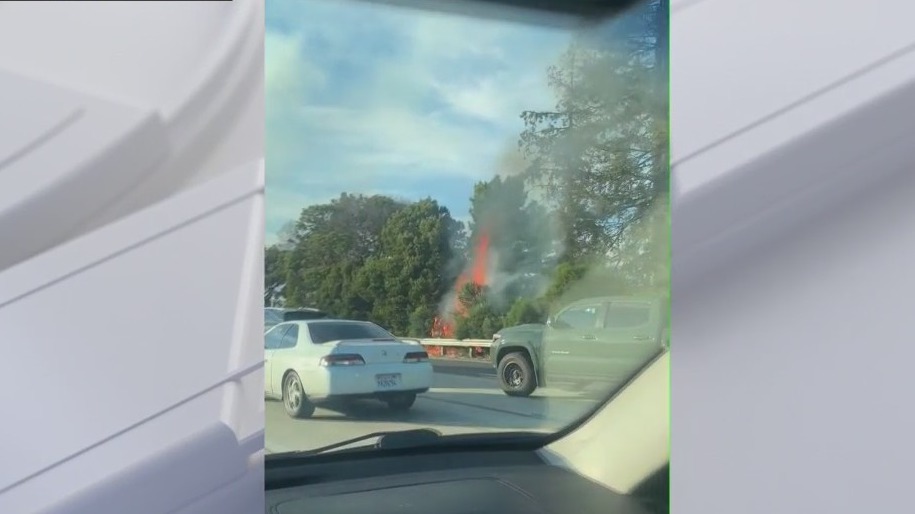 Arson the cause behind grassfires off I-580 in Oakland, fire department says