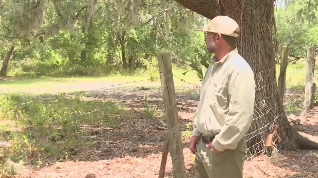 Fight to keep Old Miakka, the country
