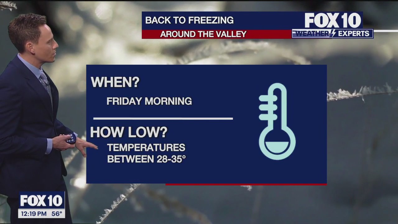 Noon Weather Forecast