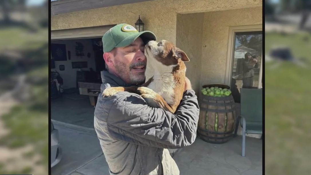 Elderly dog rescued from Hesperia sinkhole