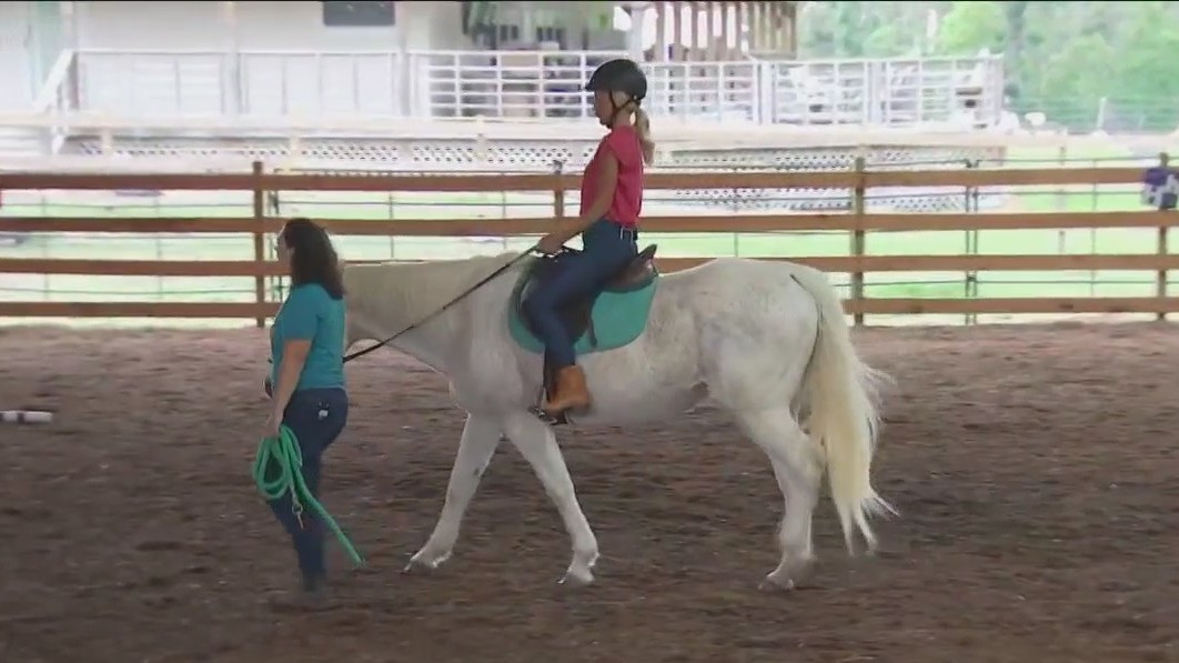 Healing with Horses offers equine-assisted therapy in Manor