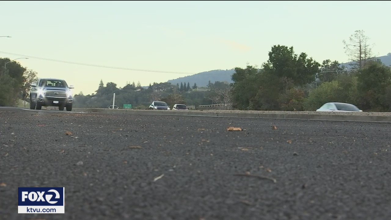 Deadly stretch of roadkill