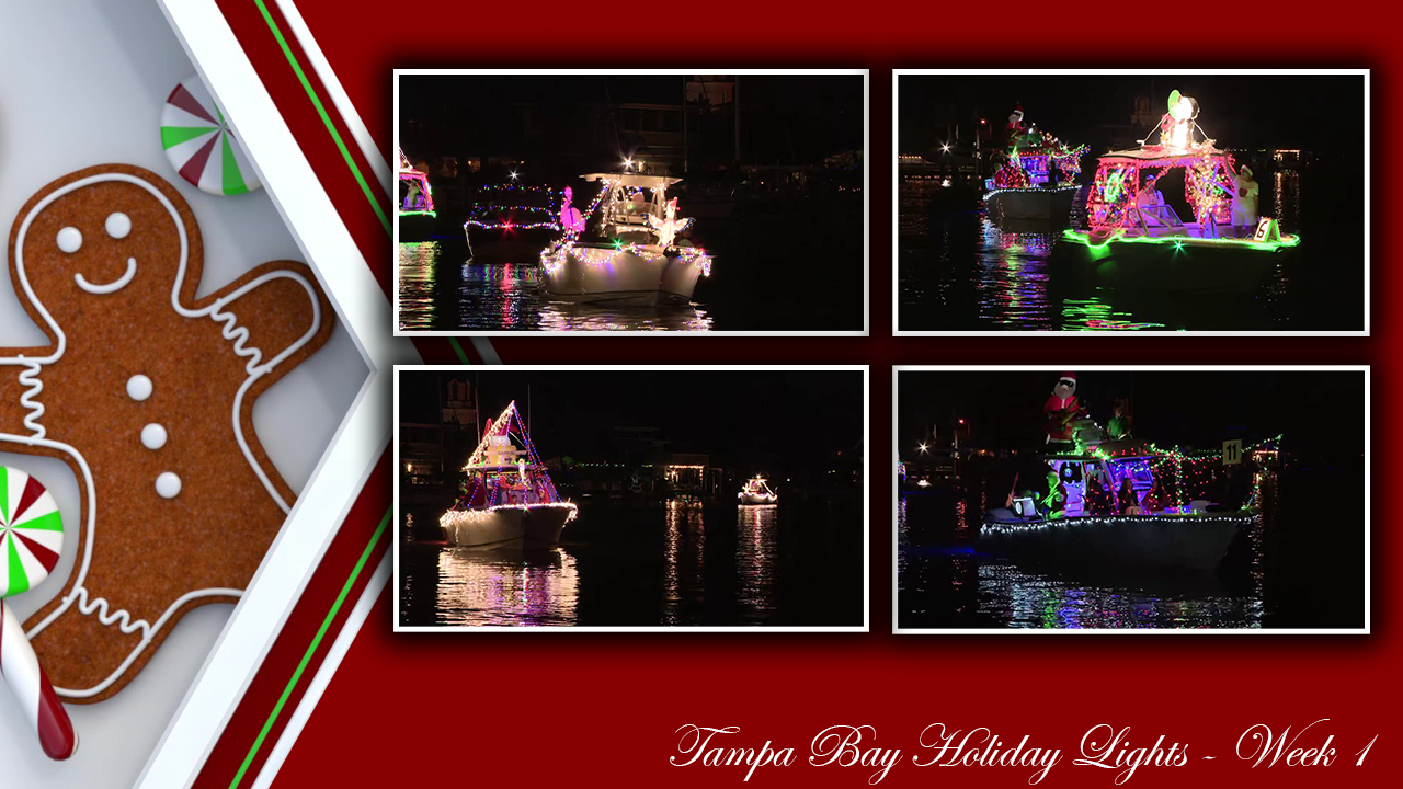 Tampa Bay Area Holiday Lights: Week 1