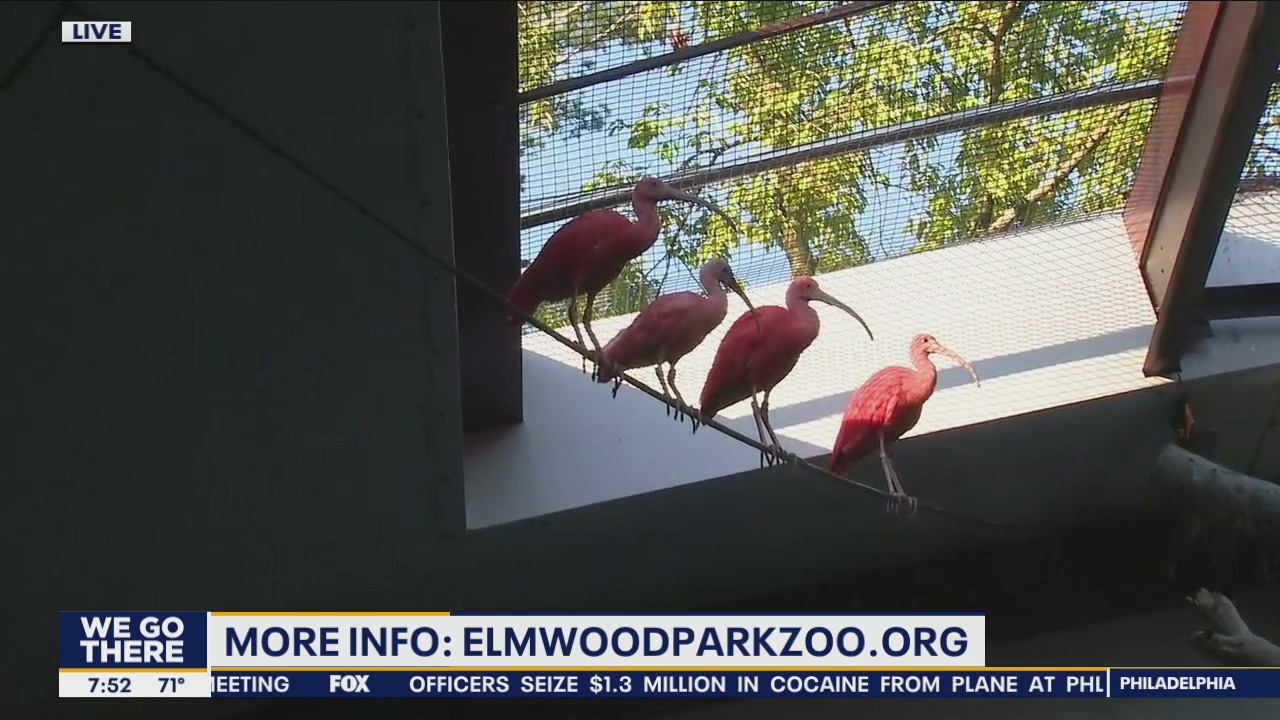 Birds back on display at Elmwood Park Zoo