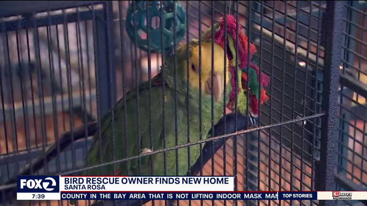 Santa Rosa bird rescue owner finds new home