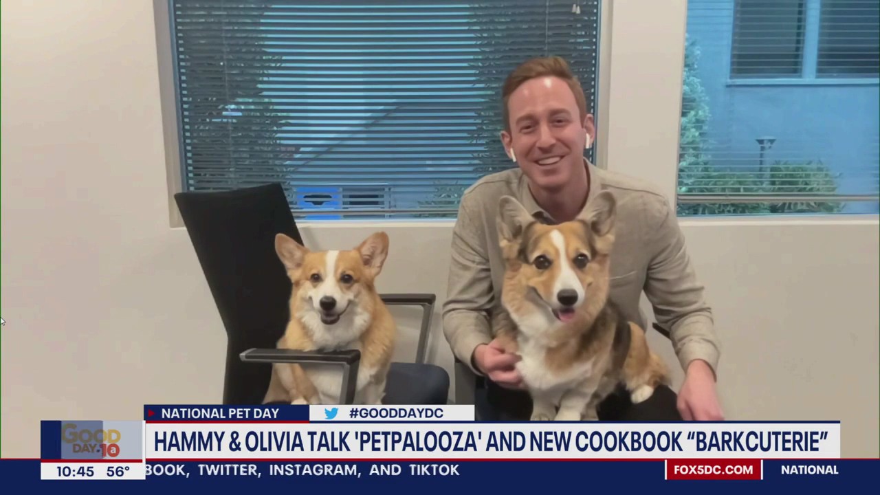 Hammy & Olivia talk going viral, new cookbook "Barkcuterie"