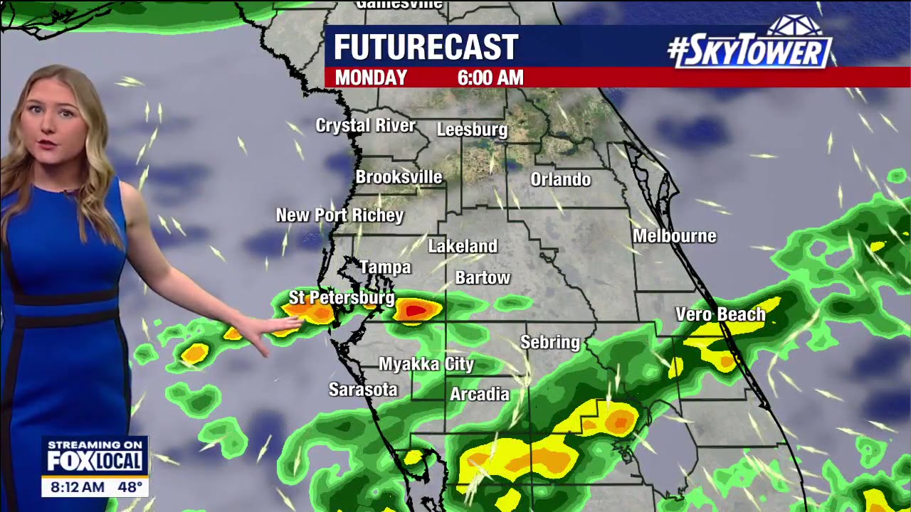Tampa weather: Sunny, calm Saturday