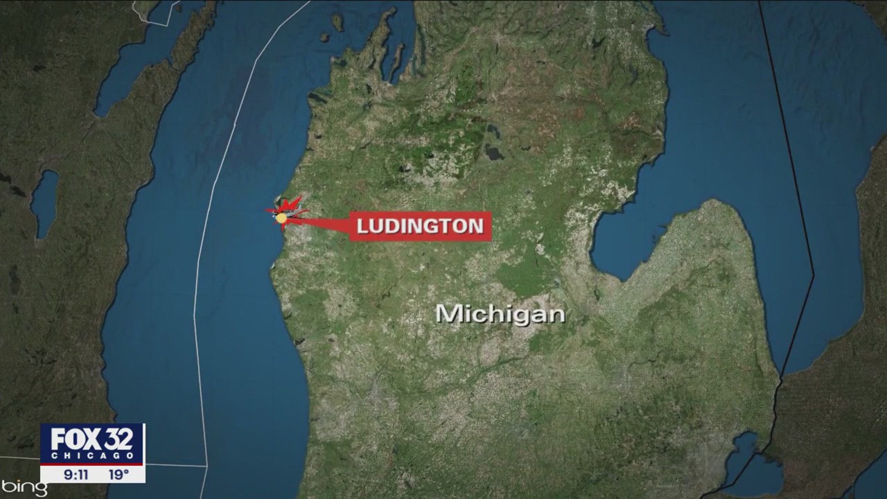 Indiana couple, 2 dogs, die when single-engine plane crashes in Michigan