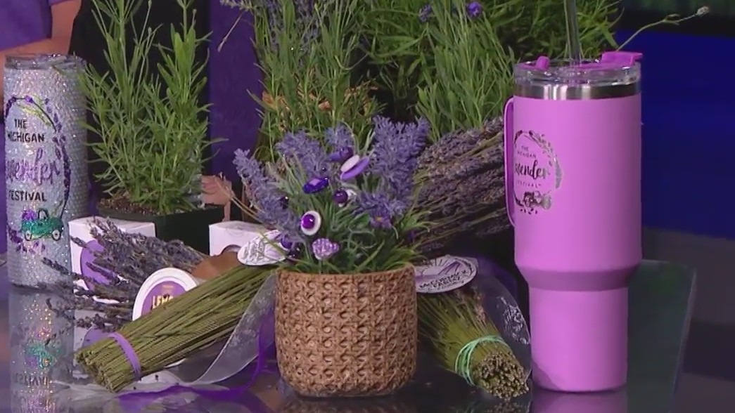 Michigan Lavender Festival kicks off June 23-25