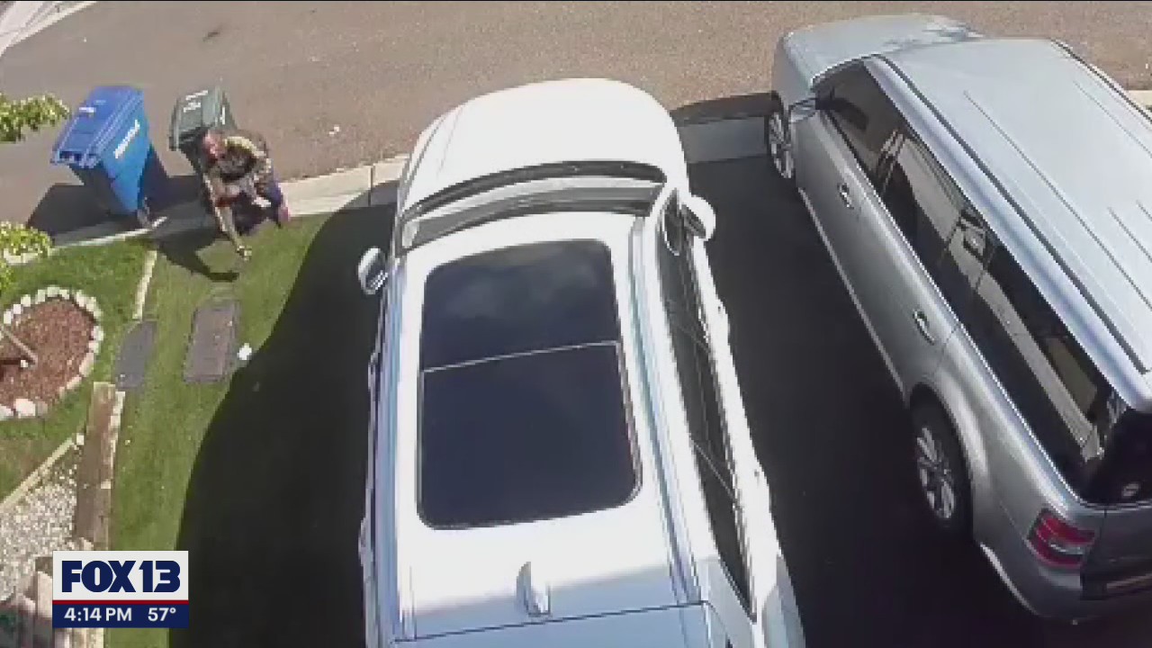 Home surveillance footage catches thief stealing wallet from car right in front of homeowner