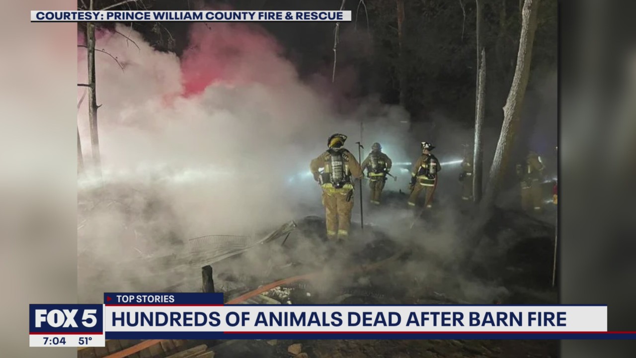 500 animals killed in barn fire in Prince William County