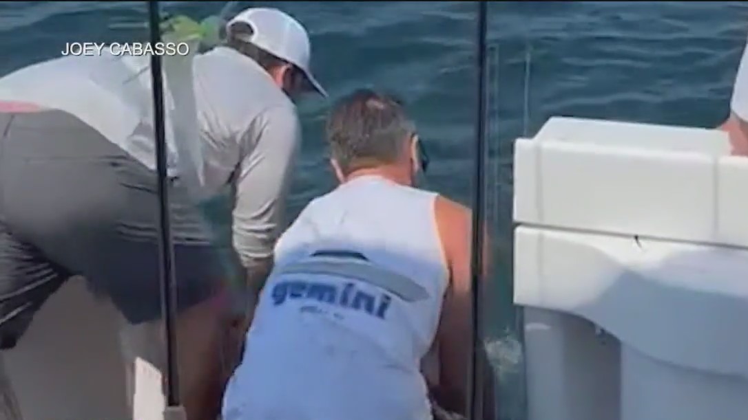 4 people rescued off Jersey Shore