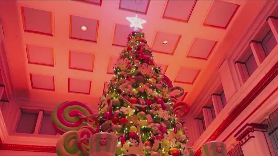 Macys on State Street begins festive season with tree lighting ceremony