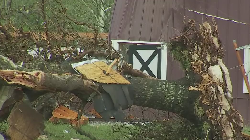 Severe storm damage in Williamson County near Florence