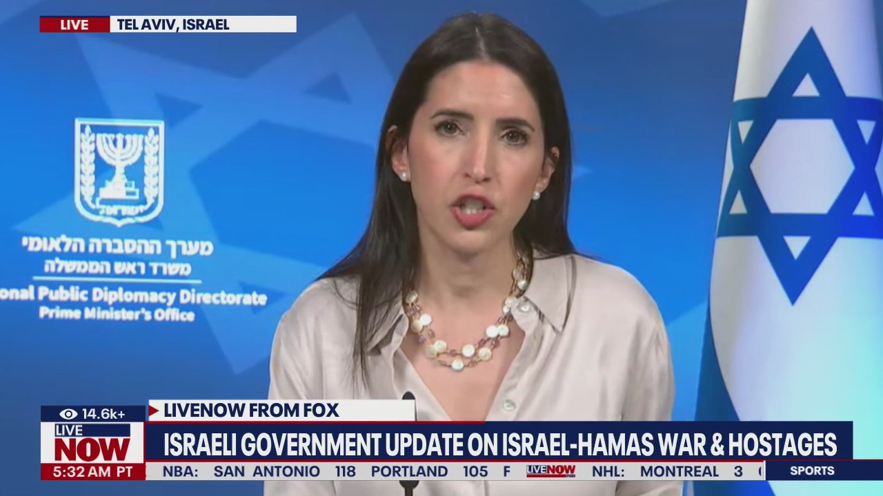 Israeli govt. update: IDF death toll rises to 502