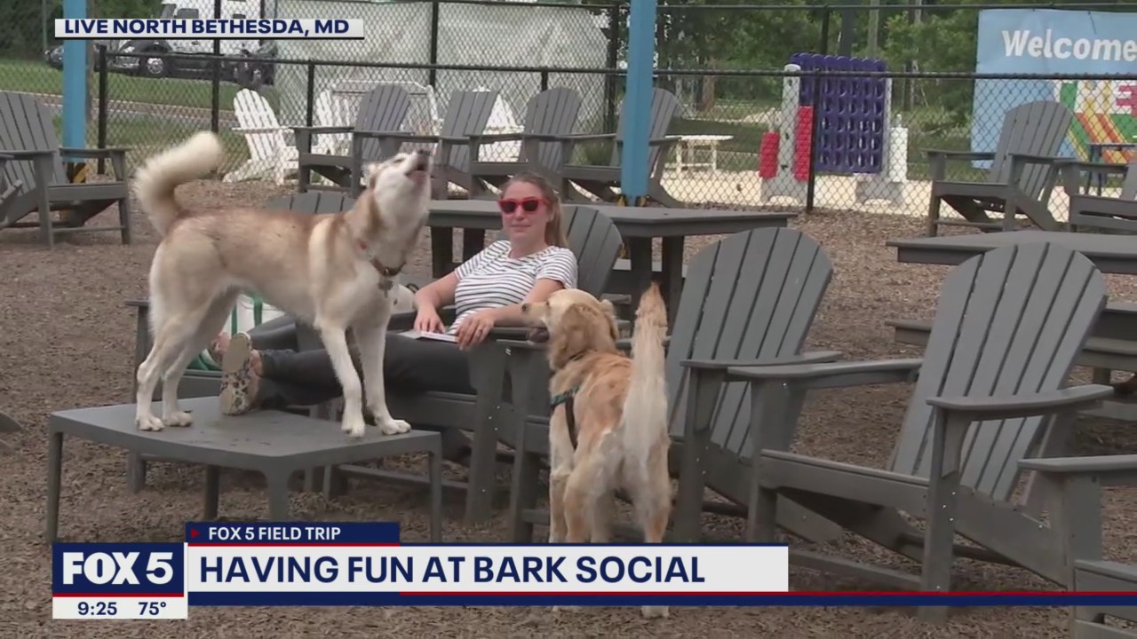FOX 5 FIELD TRIP: Having fun at Bark Social