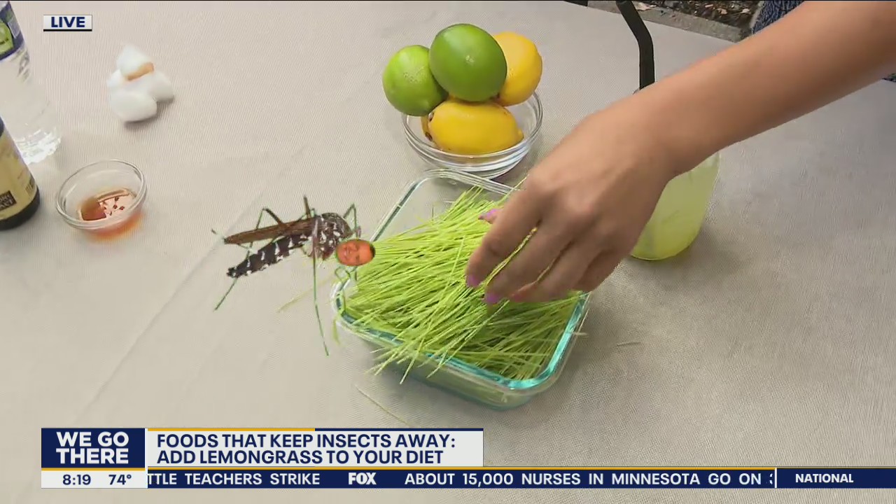 Foods that keep the insects away!