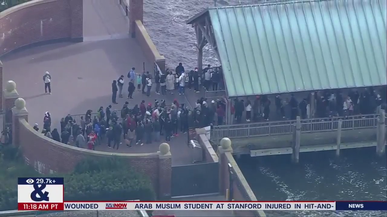 Protestors in NY call for ceasefire in Israel