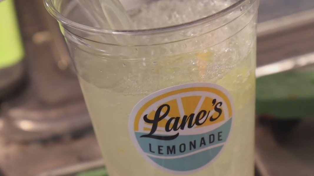 Made in Tampa Bay: Lane's Lemonade