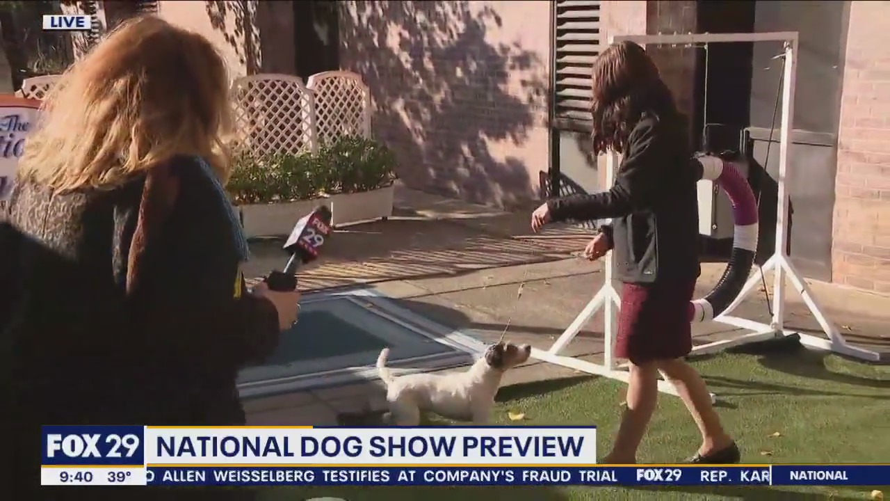 Teen dog handler, dog Boozer prepare for National Dog Show