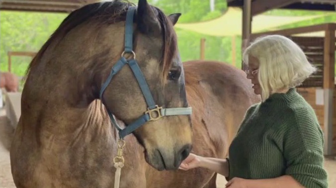 Ranch in Manor teaches independence and resilience with horse-assisted therapy